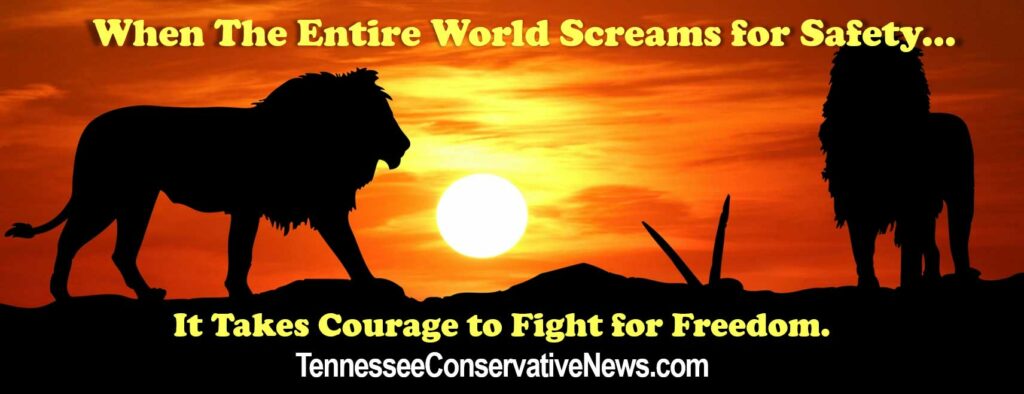 TennesseeConservativeNews.com_Fight For Freedom