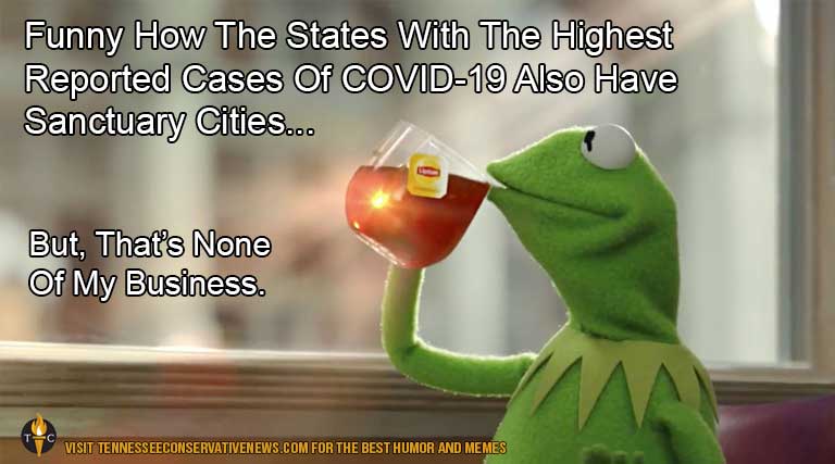 Sanctuary Cities_Meme_Humor_Kermit