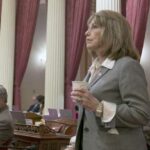 Senator Patricia Bates_Republican_Laguna Niguel_Freelancers_Employees_Independent Contractors
