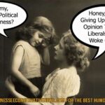 What is Political Correctness?