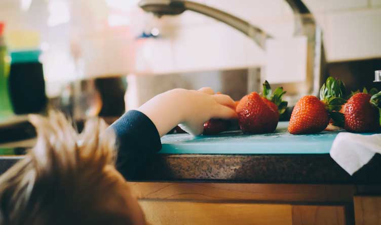 Tennessee Pandemic Meal Program Children