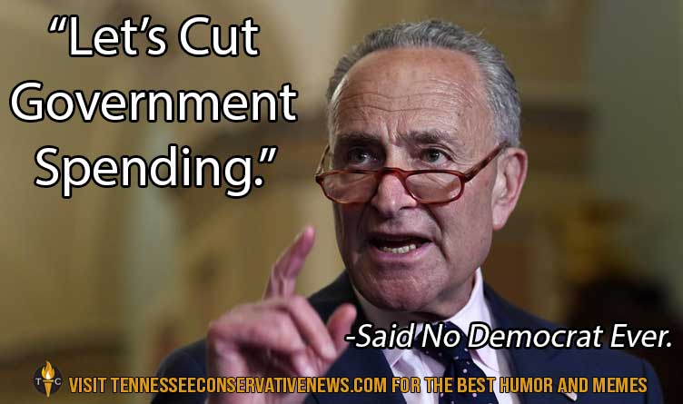 Let's Cut Government Spending...Said No Democrat Ever. Humor-Meme
