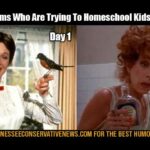 Working Moms Who Are Trying To Homeschool Kids & Still Work Humor Meme