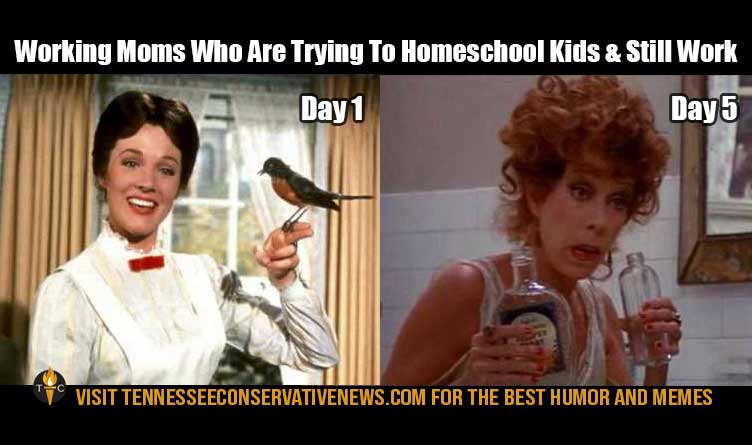 Working Moms Who Are Trying To Homeschool Kids & Still Work Humor Meme