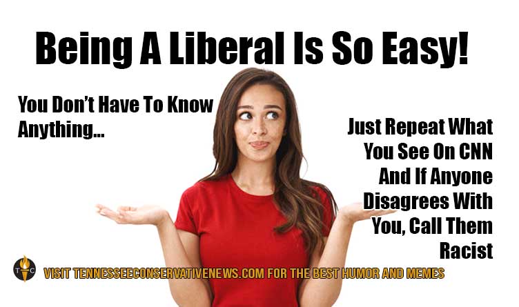 Being A Liberal Is So Easy! Humor - meme