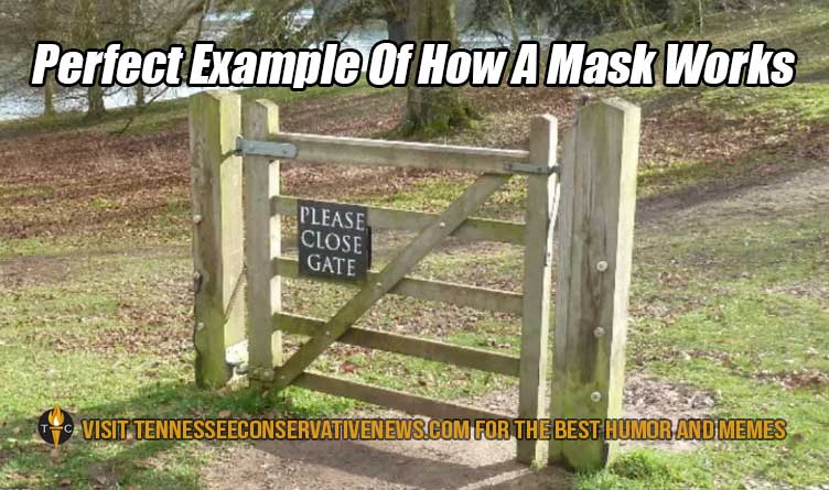 Perfect Example Of How A Mask Works... Meme