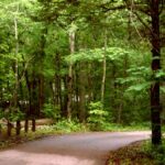 Cedars of Lebanon Park Tennessee
