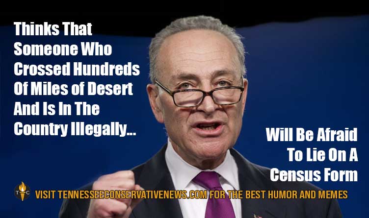 Chuck Schumer Illegal Immigrants Census Meme