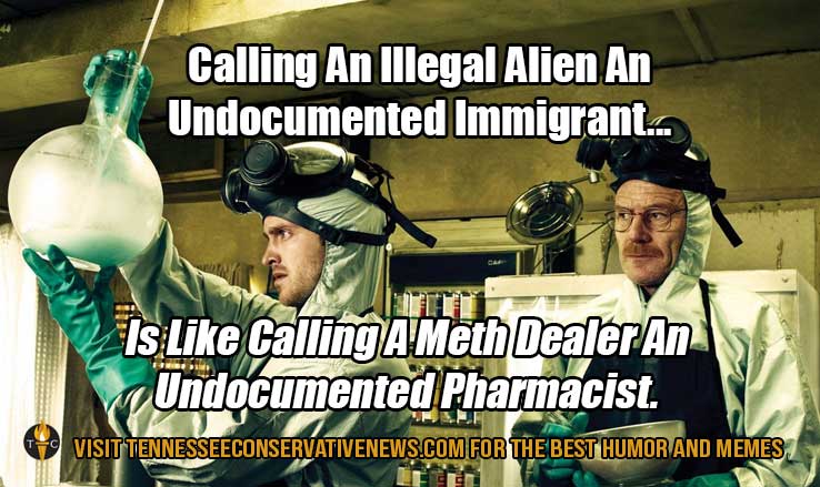 Calling An Illegal Alien An Undocumented Immigrant... Meme