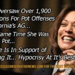 Kamala Harris Pot Meme