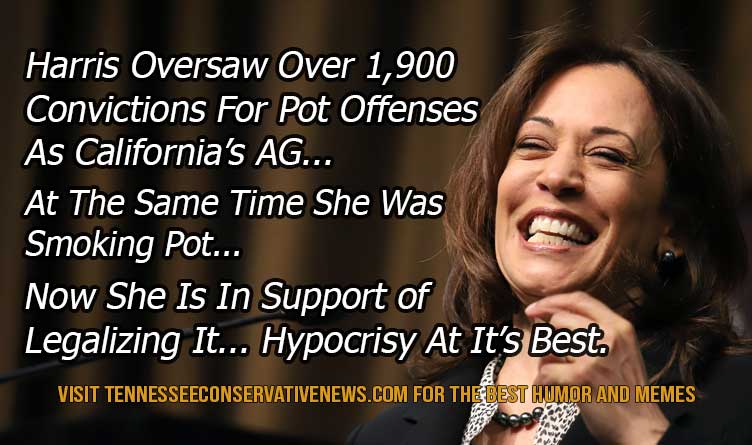 Kamala Harris Pot Meme