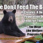 Please Don't Feed The Bears Meme