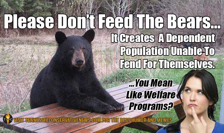 Please Don't Feed The Bears Meme