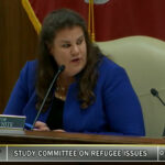 : Senator Dawn White (Chair) leads the second meeting of the Joint Study Committee on Refugee Issues