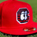 Chattanooga Lookouts Owner Charged With Running ‘Ponzi Scheme’