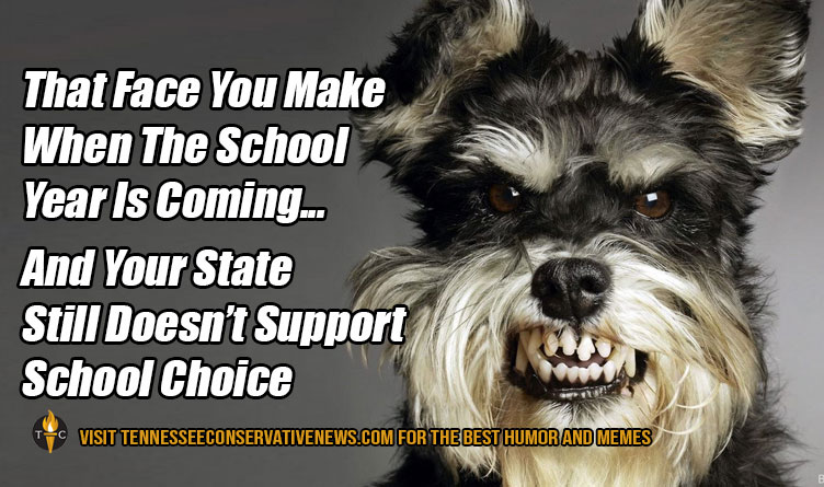 That Face You Make When The School Year Is Coming...And Your State Still Doesn’t Support School Choice. Humor - Meme