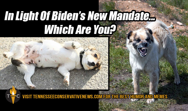 In Light Of Biden's New Mandate... Which Are You? Vaccine Mandate Meme