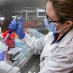 Life Sciences Facility To Bring Over 1K Jobs To Tennessee