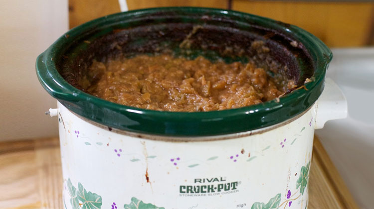 Crockpot Or Instant Pot? - TTC Health & Wellness