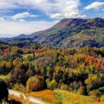 Tennessee State Parks To Host After Thanksgiving Hikes