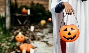 TDOC Arrests 22 Sex Offenders During Halloween Operation