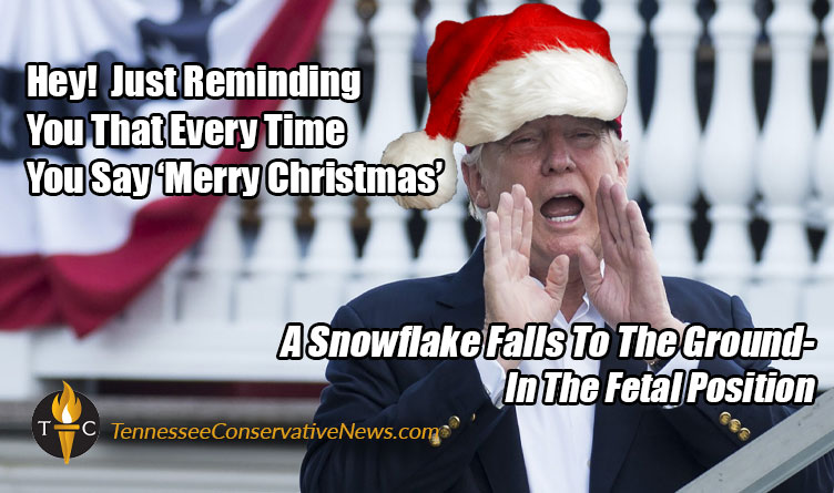 Every Time You Say Merry Christmas... Snowflake Donald Trump Meme