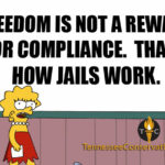 Freedom In Not A Reward For Compliance... That's How Jails Work. Meme