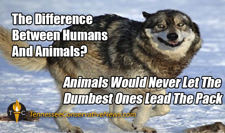 Difference Between Humans & Animals... - Tennessee Conservative