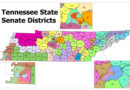 Redistricting Bill Pushed Forward To Possible Thursday Senate Vote