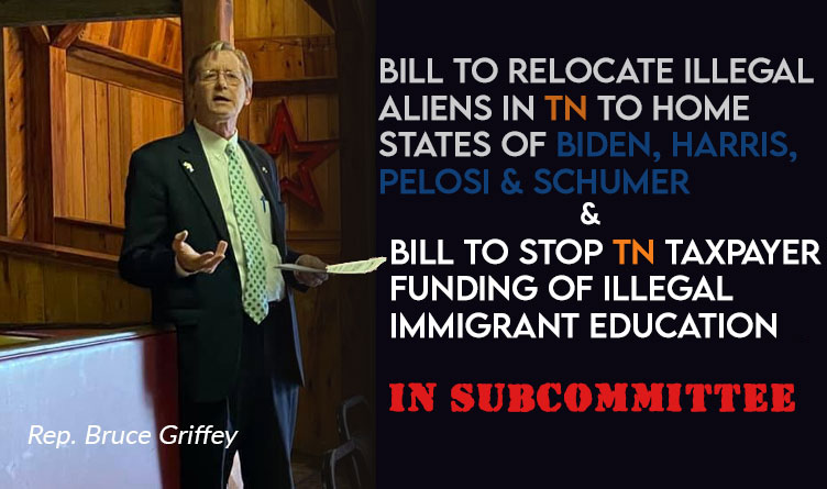 2 TN Illegal Immigration Bills Migrate to Subcommittee