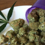 Pair Of Marijuana Laws Proposed In Tennessee Legislature