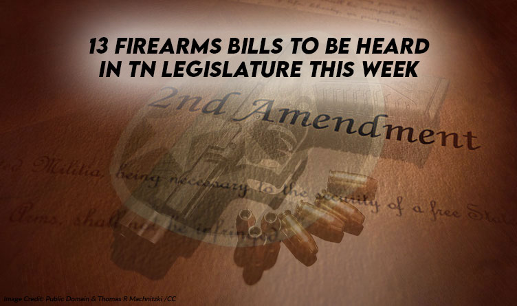 13 Firearms Bills To Be Heard In TN Legislature This Week