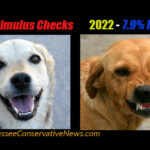 2020 Stimulus Checks 2022 7.9% Inflation Meme