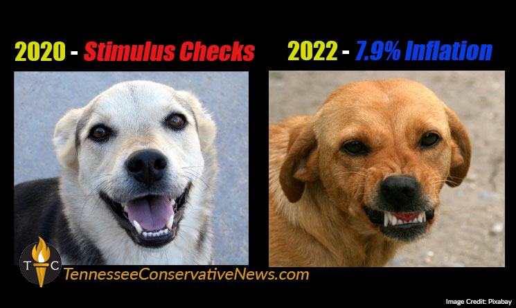 2020 Stimulus Checks 2022 7.9% Inflation Meme