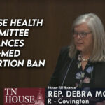 House Health Committee Advances Tele-Med Abortion Ban