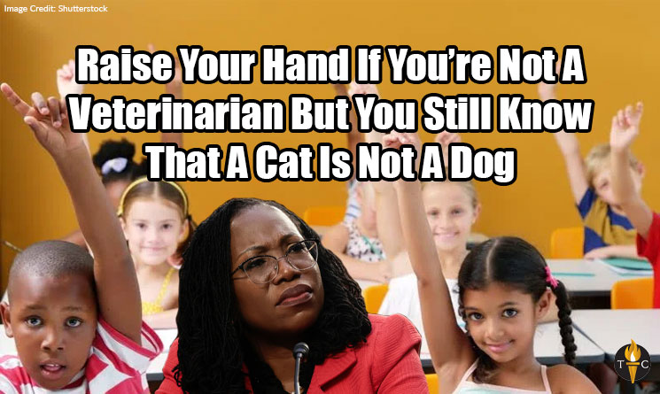 Raise Your Hand If You’re Not A Veterinarian But You Still Know That A Cat Is Not A Dog. ketanji brown jackson meme