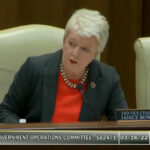 Senator Janice Bowling Speaks On The Tenth Amendment And States' Rights During Committee Meeting