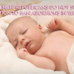 Some Senate Republicans Do Not Support Legislation To Ban Abortions In Tennessee