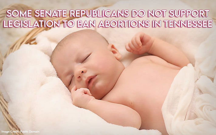 Some Senate Republicans Do Not Support Legislation To Ban Abortions In Tennessee