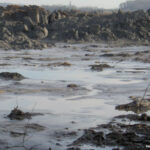 6th Circuit Shoots Down Immunity For TVA Coal Ash Spill Contractor Jacobs Engineering