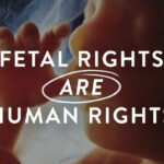 How To Respond About Roe V. Wade