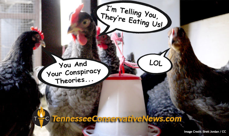 I'm Telling You They're Eating Us! You And Your Conspiracy Theories... LOL - Chickens Meme