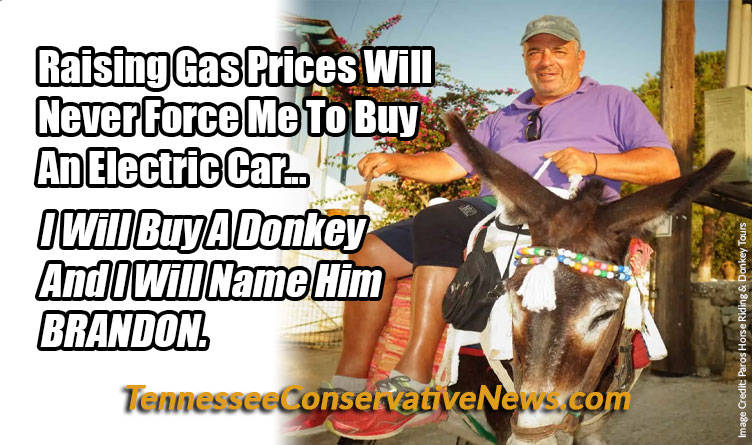 Raising Gas Prices Will Never Force Me To Buy An Electric Car. I Will Buy A Donkey And I Will Name Him BRANDON. Meme