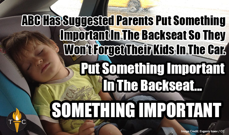 ABC Has Suggested Parents Put Something Important In The Backseat So They Won’t Forget Their Kids In The Car. Put Something Important In The Backseat... SOMETHING IMPORTANT - Meme