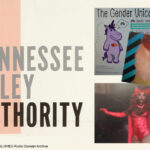 TVA Live Streams Drag Queen Performance During Work Hours In Honor Of Pride Month