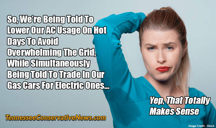 So, We’re Being Told To Lower Our AC Usage On Hot Days To Avoid Overwhelming The Grid, While Simultaneously Being Told To Trade In Our Gas Cars For Electric Ones... Yep, That Totally Makes Sense - Meme