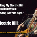 Me: Checking My Electric Bill During The Heat Wave: "Please Don't Be High" My: Electric Bill: Picture of Willie Nelson Meme