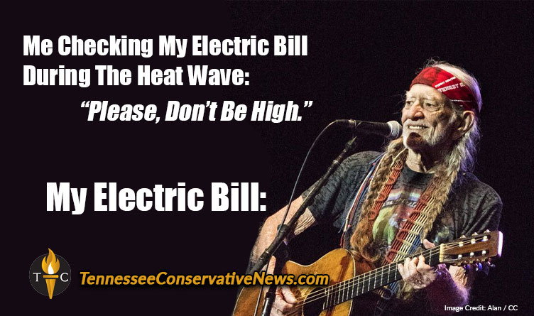 Me: Checking My Electric Bill During The Heat Wave: "Please Don't Be High" My: Electric Bill: Picture of Willie Nelson Meme