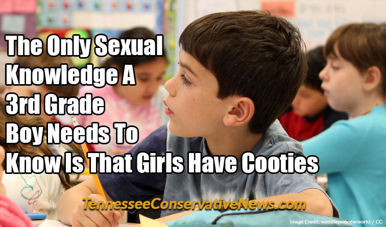 The Only Sexual Knowledge A 3rd Grade Boy Needs To Know Is That Girls Have Cooties - Meme