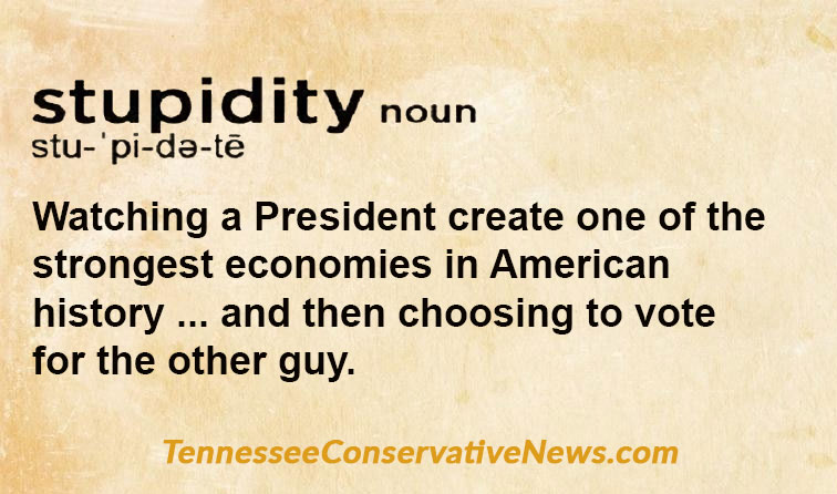 The Definition Of... Stupidity - Watching a President create one of the strongest economies in American history ... and then choosing to vote for the other guy. Meme